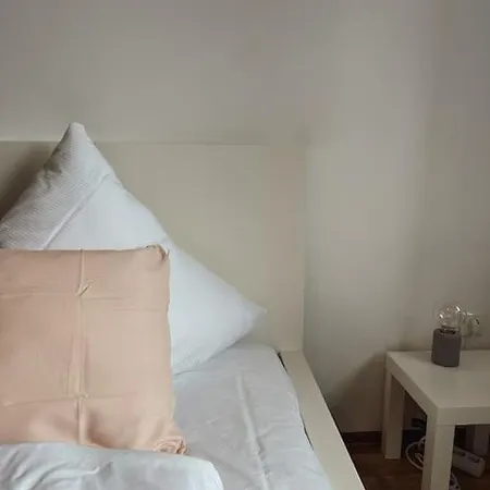 Geraeumige 3-schlafzimmer-wohnung In Koblenz Nahe Uni Koblenz (Rhineland-Palatinate)